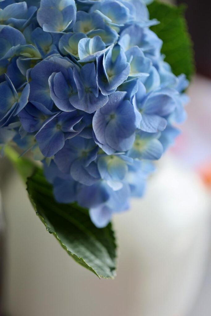 50 Anniversario Adriano ♡ Annalisa